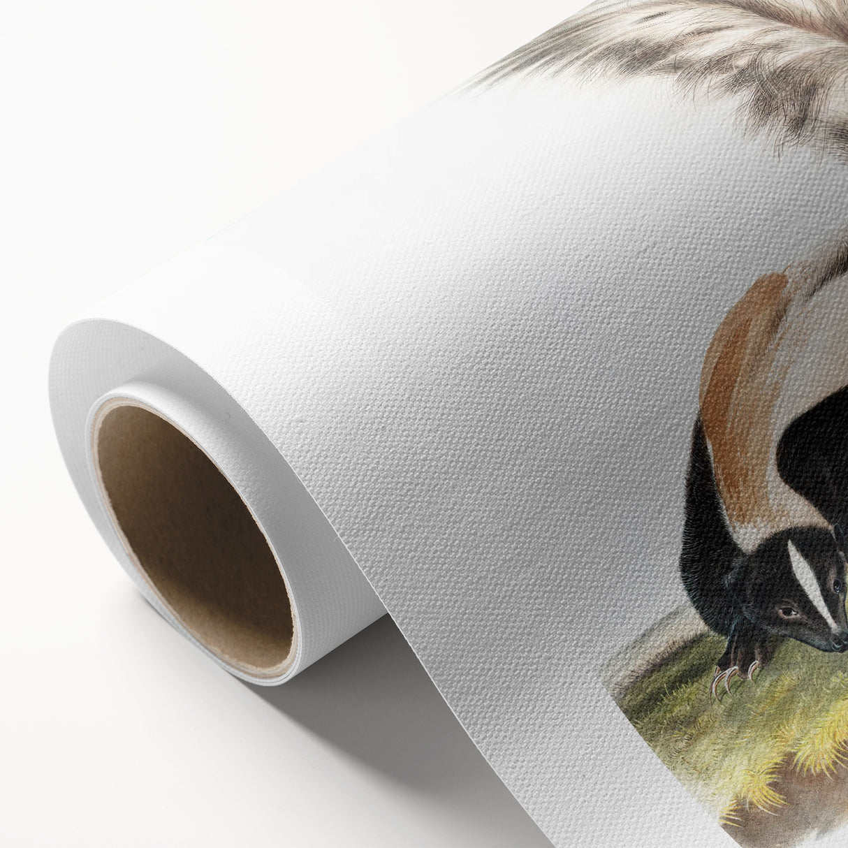 Romanticism Art: Large-tailed Skunk by Audubon - Nature-Inspired Print