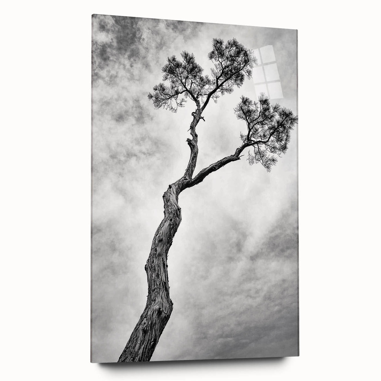 Abstract floral acrylic glass artwork showcasing vibrant colors and intricate designs, presented in a side view without pins, ideal for modern decor and art enthusiasts.