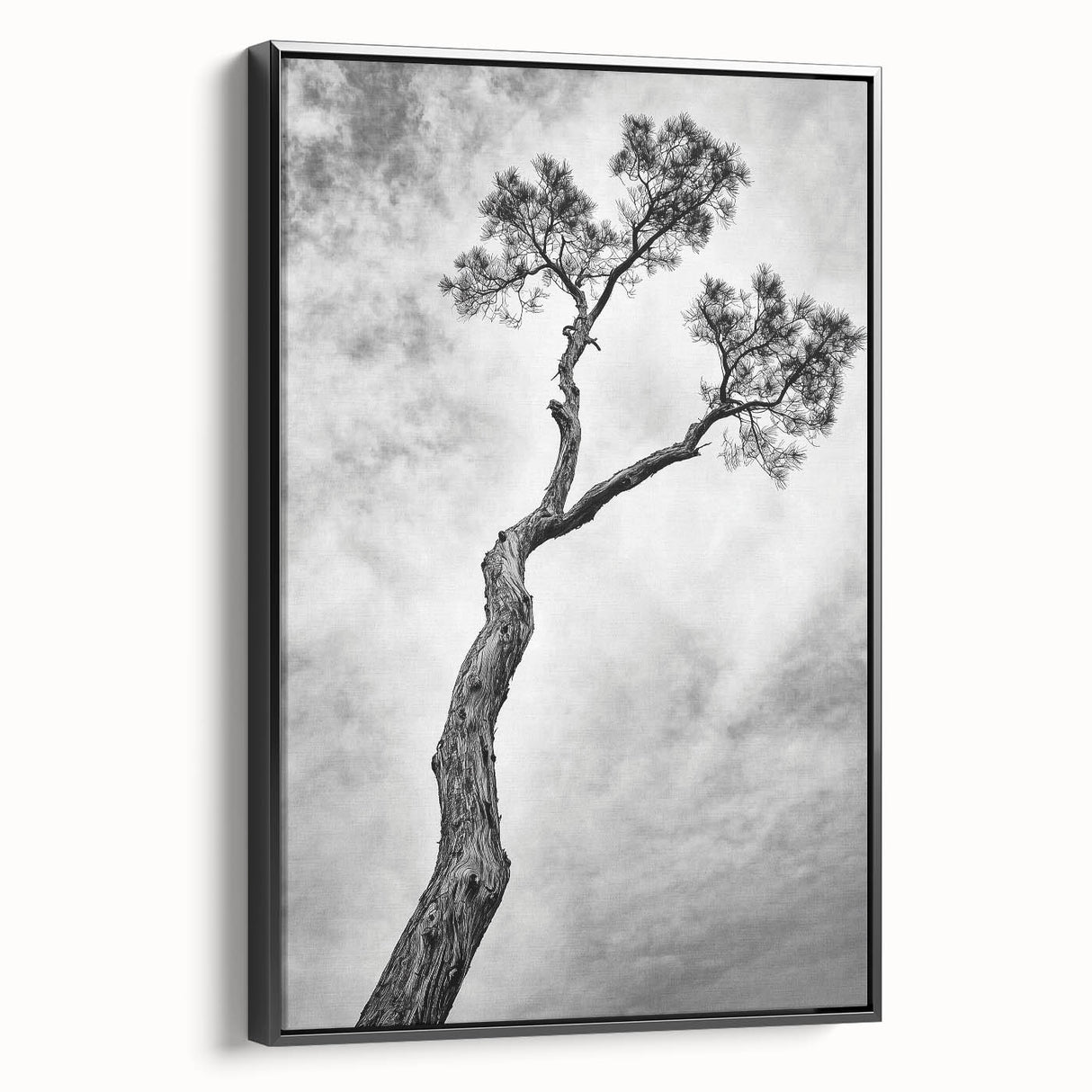 Framed canvas artwork showcasing abstract floral designs in vibrant colors against a black background, viewed from the side, ideal for modern home decor.