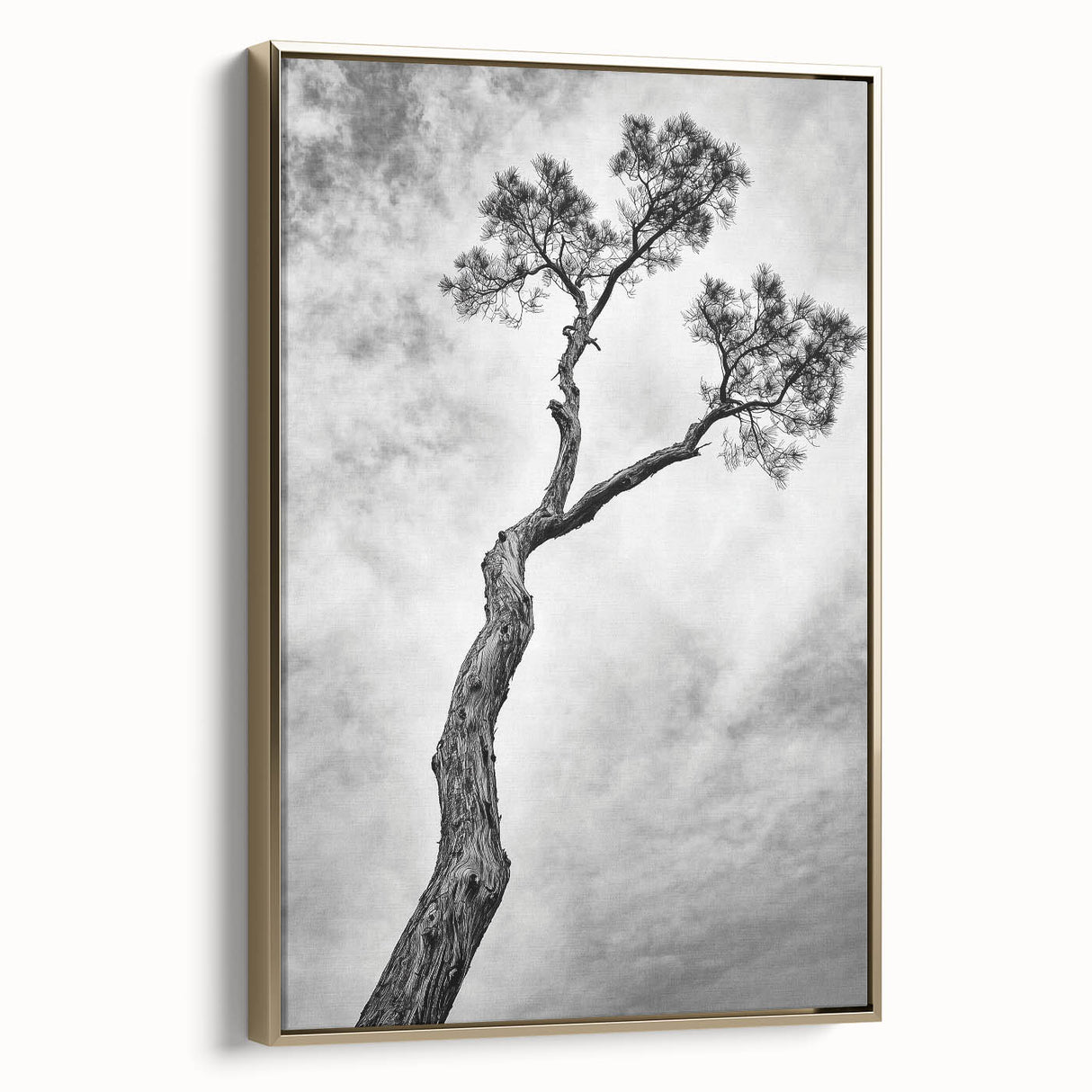 Framed canvas art featuring abstract floral designs in vibrant colors with a gold frame, showcasing a modern aesthetic perfect for home decor.