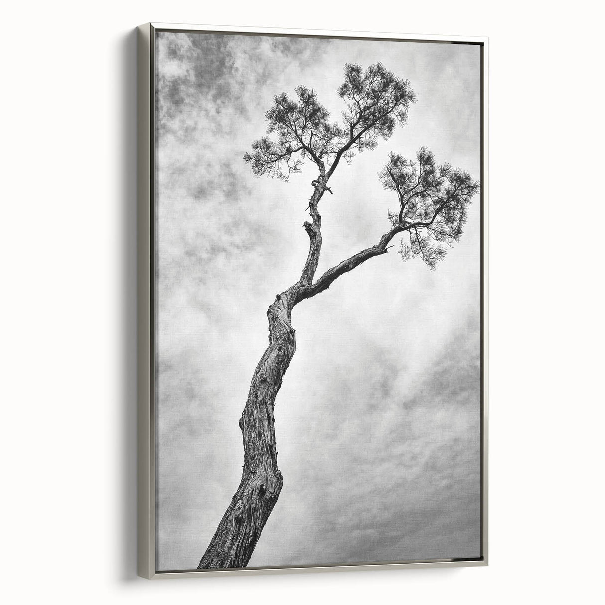 Framed canvas artwork showcasing an abstract floral design in vibrant colors, featuring a sleek silver frame, perfect for modern home decor and artistic ambiance.