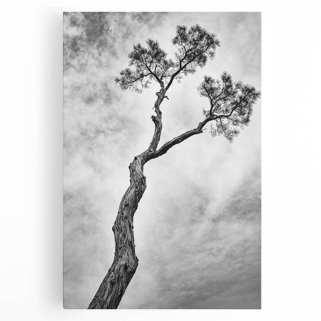 Abstract floral stretched canvas art showcasing vibrant colors, intricate patterns, and a modern design, perfect for enhancing contemporary home decor.