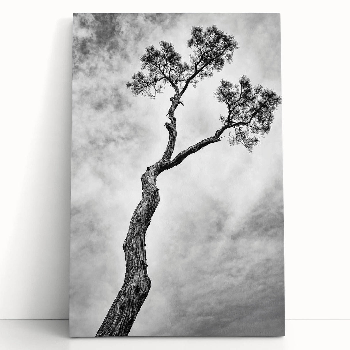 Stretched canvas artwork showcasing vibrant abstract floral designs in hues of blue, pink, and green, ideal for modern home decor, leaning against a white wall.