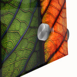 Close-up of vibrant acrylic glass wall art featuring an intricate design of colorful flowers and botanical leaves, ideal for enhancing home decor with a nature-inspired aesthetic.