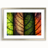 Framed wall art featuring a botanical design with colorful flowers and leaves, set in a silver mat, showcasing a modern aesthetic perfect for home decor.