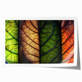 Rolled print of vibrant floral and botanical wall art, showcasing intricate leaves and colorful flowers on a textured background, perfect for home decor.