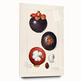 Large abstract wall art featuring an array of fruits in vibrant colors on acrylic glass.