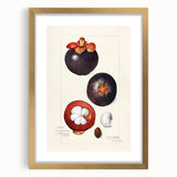 Extra large abstract art print of textured fruits in muted earth tones, framed in gold, ideal for living room decor.
