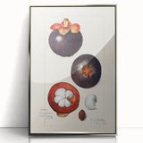 Mid-century modernist art featuring an array of fruits in vibrant colors on a silver-framed acrylic print.