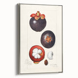 Landscape art painting of colorful fruits on a silver-framed canvas, ideal for kitchen wall decor.