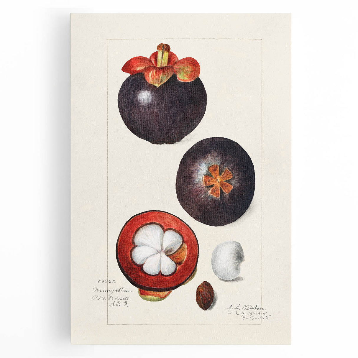 Large black and white stretched canvas featuring an assortment of fruits, ideal for kitchen wall art.