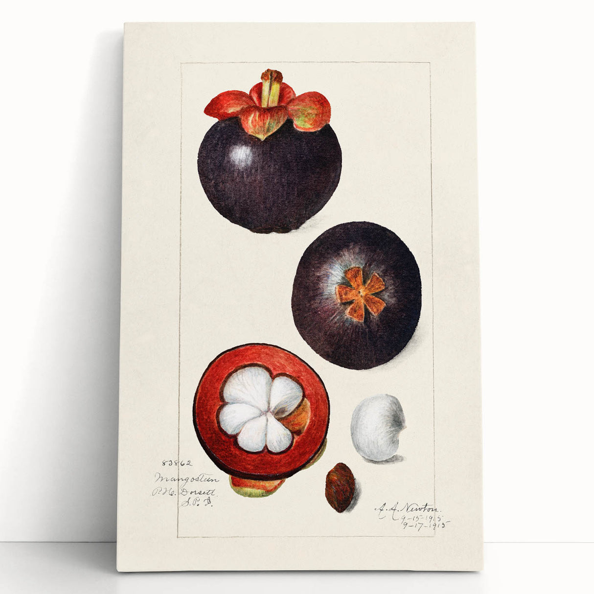 Large black and white stretched canvas featuring an assortment of fruits, ideal for kitchen wall art.