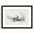 Black landscape frame with a white mat, showcasing a serene nature scene. The frame’s sleek design complements modern decor, enhancing any living space.