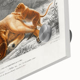 Romanticism Art: Lioness with Cubs by D’Orbigny - Wildlife Canvas