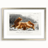 Romanticism Art: Lioness with Cubs by D’Orbigny - Wildlife Canvas