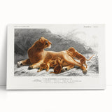 Romanticism Art: Lioness with Cubs by D’Orbigny - Wildlife Canvas