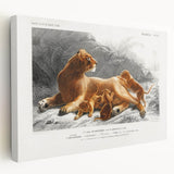Romanticism Art: Lioness with Cubs by D’Orbigny - Wildlife Canvas