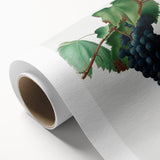 Romanticism Art: Grape Vine by Gallesio - Botanical Canvas Print