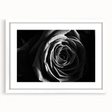 Black & White Rose Wall Art - Modern Monochrome Living Room Décor