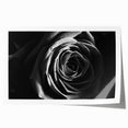 Black & White Rose Wall Art - Modern Monochrome Living Room Décor