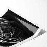Black & White Rose Wall Art - Modern Monochrome Living Room Décor