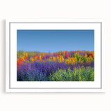 Framed landscape artwork featuring vibrant fields and a white mat, showcasing a serene outdoor scene ideal for home decor. Perfect for nature enthusiasts.