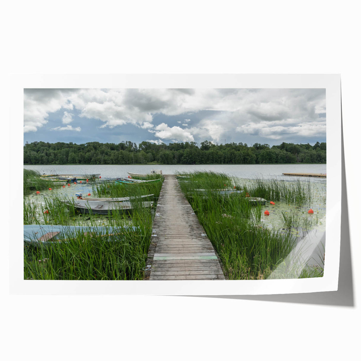 Extra large rolled print depicting a serene Estonian landscape with vibrant greenery and a calm lake.