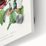 Romantic Art Prints: Vermilion Flycatcher and Botanical Study