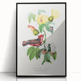 Romantic Art Prints: Vermilion Flycatcher and Botanical Study