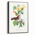 Romantic Art Prints: Vermilion Flycatcher and Botanical Study