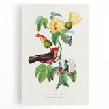 Romantic Art Prints: Vermilion Flycatcher and Botanical Study