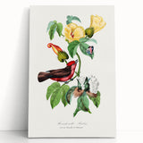 Romantic Art Prints: Vermilion Flycatcher and Botanical Study