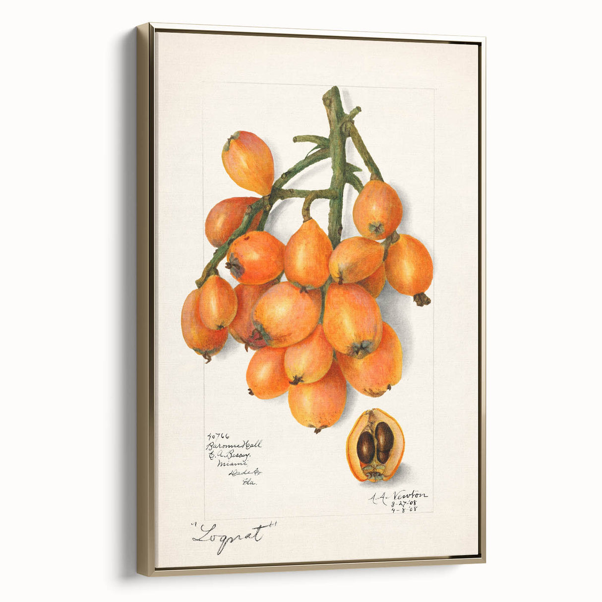 Framed canvas of vintage poster art depicting various fruits in muted colors, ideal for bedroom wall art.
