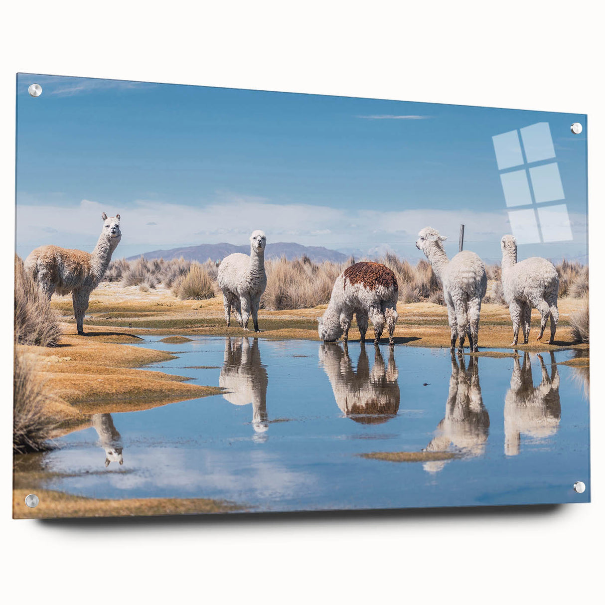 Large abstract wall art depicting a Bolivian landscape on acrylic glass, featuring earthy tones.