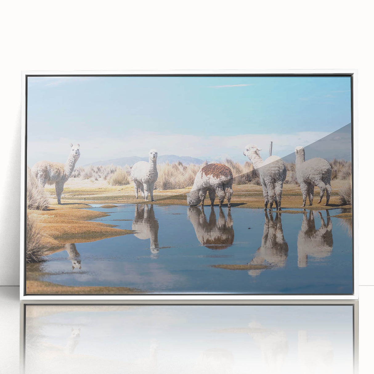 Framed acrylic print of a Bolivian landscape in muted earth tones, ideal for modern art wall decor.