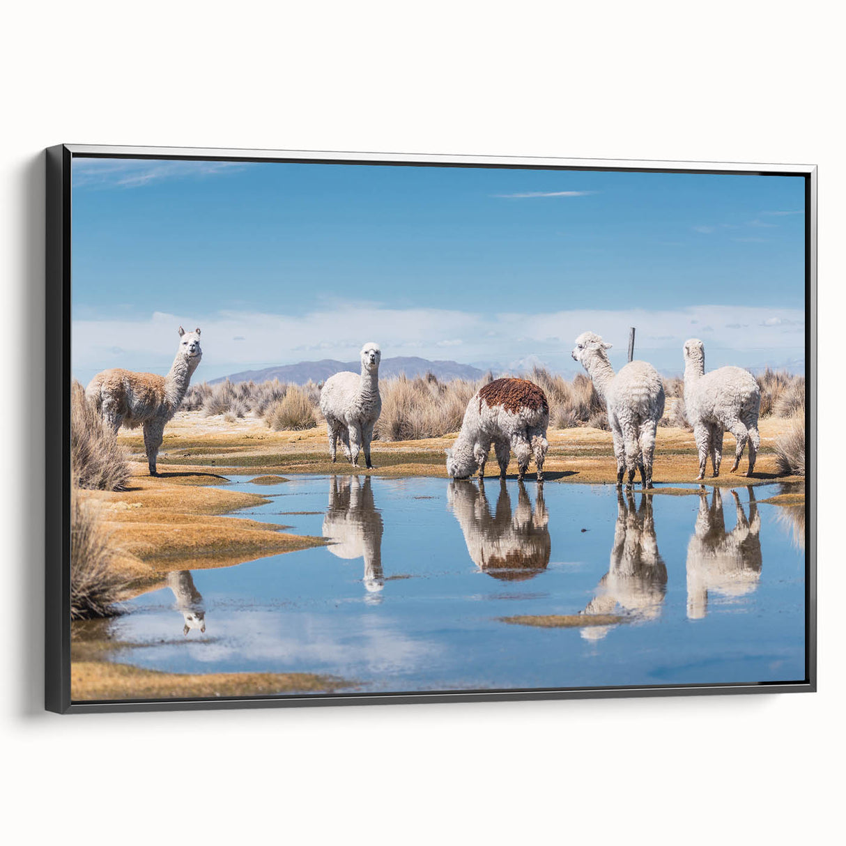 Black and white framed canvas of a Bolivian landscape, ideal for bedroom wall decor.