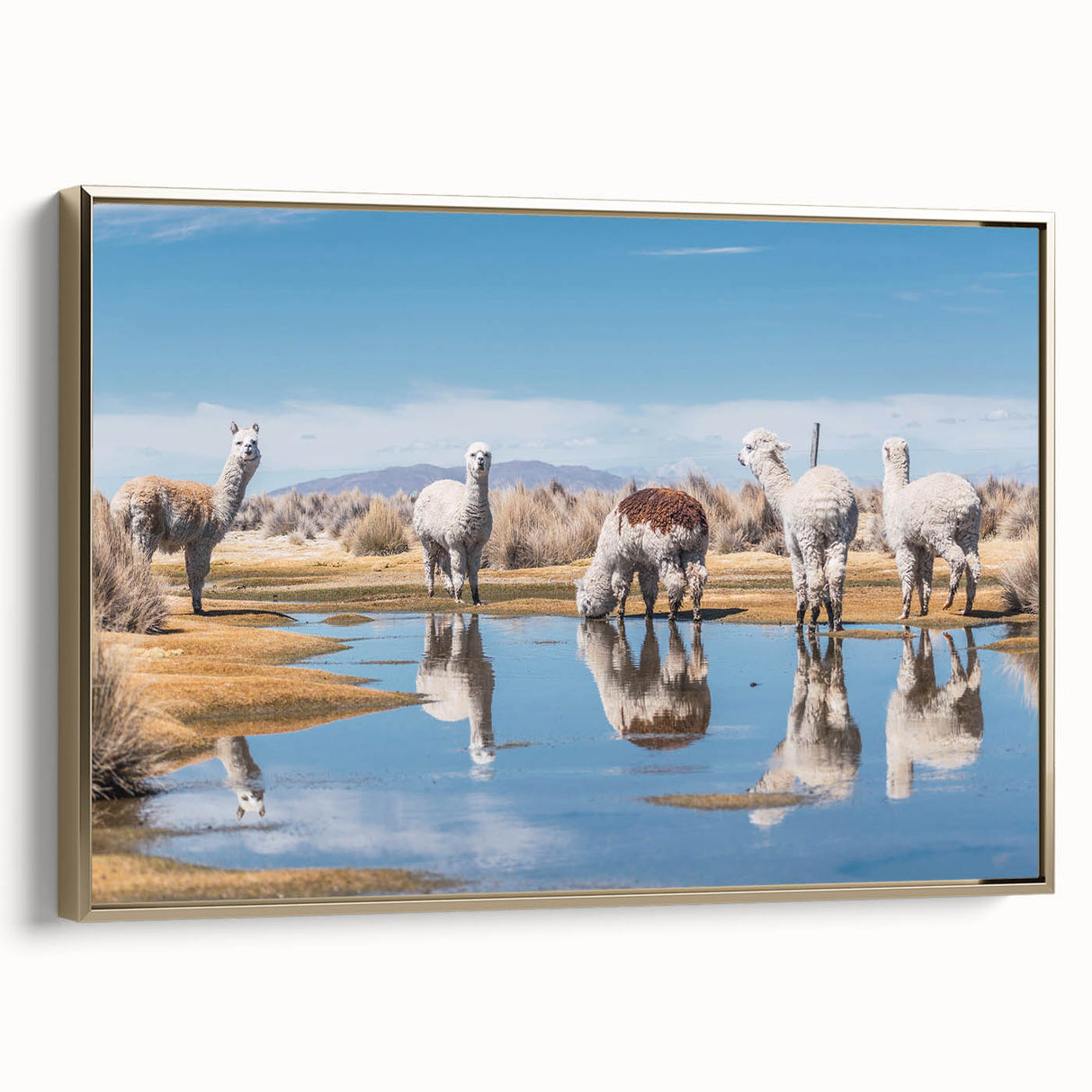 Framed canvas featuring a vintage-style landscape painting of Bolivian scenery in gold and black tones.