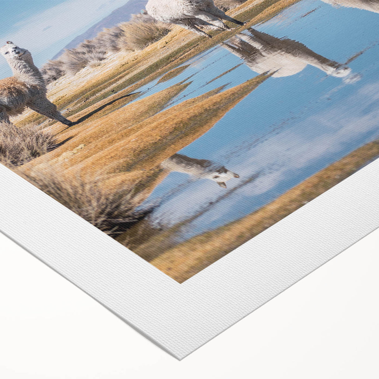 Art deco poster featuring a stylized Bolivian landscape in muted earth tones on rolled canvas.