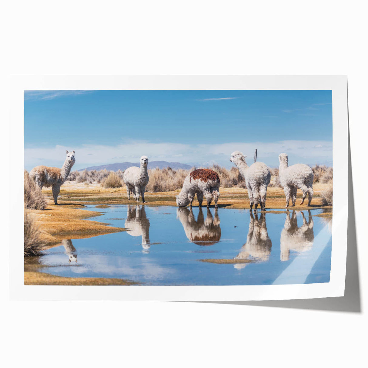 Extra large rolled print of a South American Bolivian landscape in pastel shades, ideal for art wall dining room.