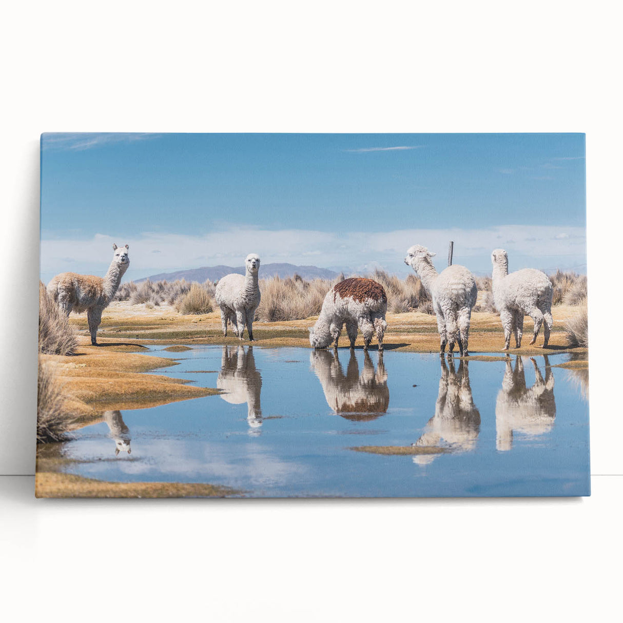 Black and white photograph of Bolivian landscape on stretched canvas, ideal for kitchen wall art or bedroom decor.