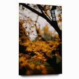 Large abstract wall art on acrylic glass, featuring swirling autumnal hues, ideal for bedroom or dining room decor.