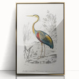 Romantic Art Prints: Purple Heron by Charles Dessalines d'Orbigny