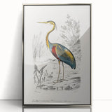 Romantic Art Prints: Purple Heron by Charles Dessalines d'Orbigny