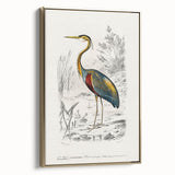 Romantic Art Prints: Purple Heron by Charles Dessalines d'Orbigny