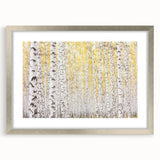 Serene Birch Forest Wall Art – Nature Canvas for Living Room