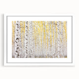 Serene Birch Forest Wall Art – Nature Canvas for Living Room