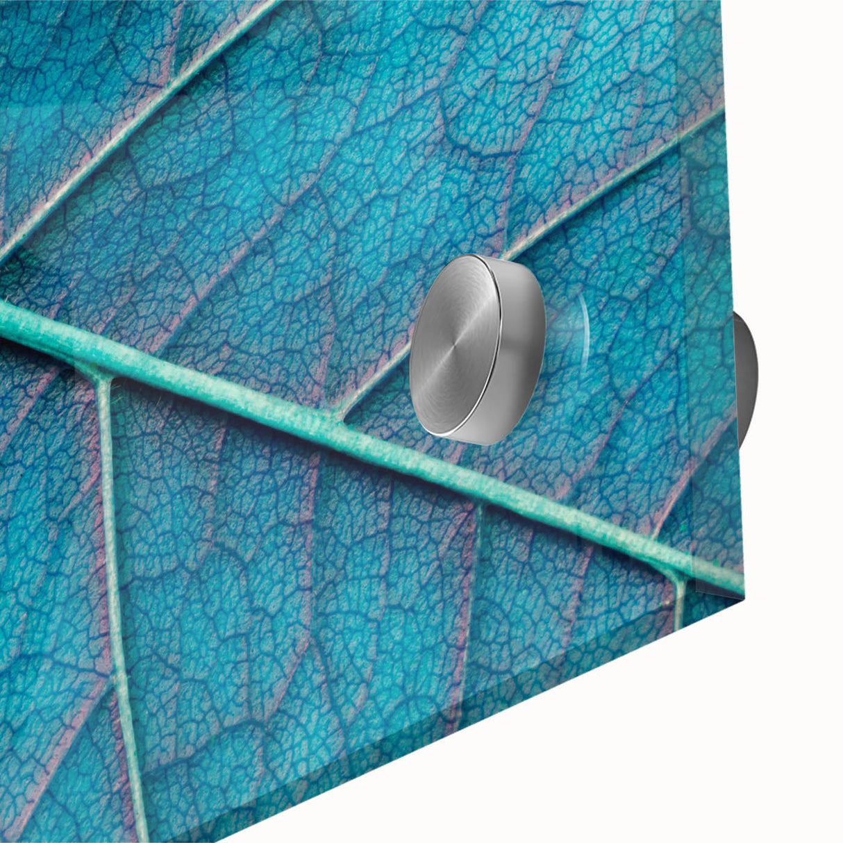 Close-up of leaves in green and yellow tones on acrylic glass, mid-century modernist style, ideal for dining room art.