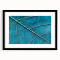 Extra large abstract art print featuring colorful, textured close-ups of leaves, framed in black.