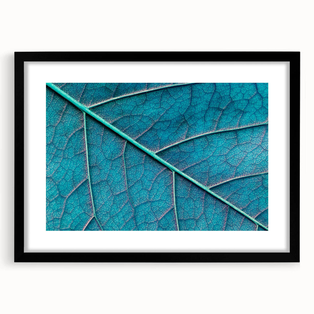 Extra large abstract art print featuring colorful, textured close-ups of leaves, framed in black.