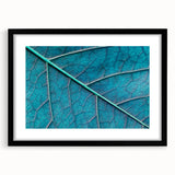 Extra large abstract art print featuring colorful, textured close-ups of leaves, framed in black.